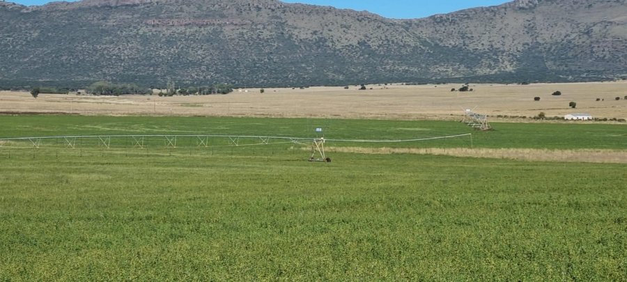 4 Bedroom Property for Sale in Queenstown Rural Eastern Cape